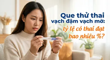 Que thử thai vạch đậm vạch mờ: tỷ lệ có thai đạt bao nhiêu %?