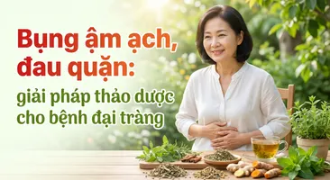 Bụng ậm ạch, đau quặn: giải pháp thảo dược cho bệnh đại tràng