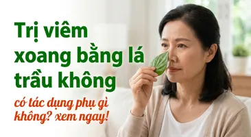 Trị viêm xoang bằng lá trầu không có tác dụng phụ gì không? xem ngay!
