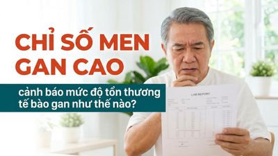 Chỉ số men gan cao cảnh báo mức độ tổn thương tế bào gan như thế nào?