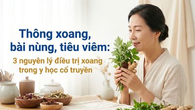 Thông xoang, bài nùng, tiêu viêm: 3 nguyên lý điều trị xoang trong y học cổ truyền