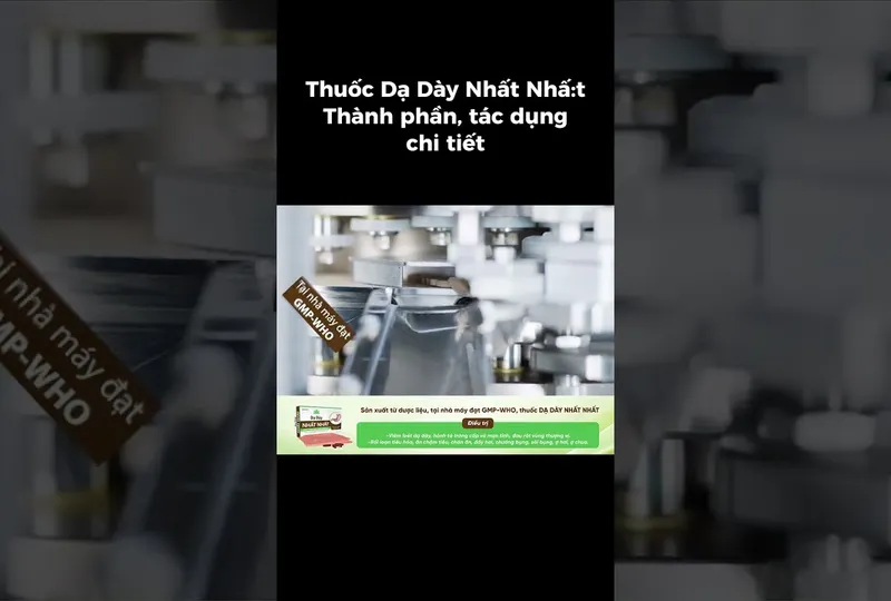 Thuốc Dạ Dày Nhất Nhất: thành phần, tác dụng chi tiết
