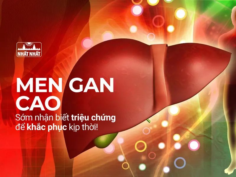 men gan cao