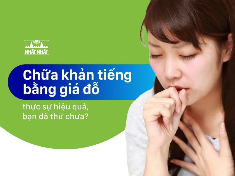 Chữa khản tiếng bằng giá đỗ