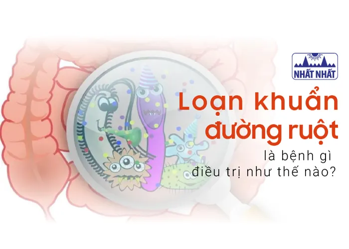 loạn khuẩn đường ruột là gì