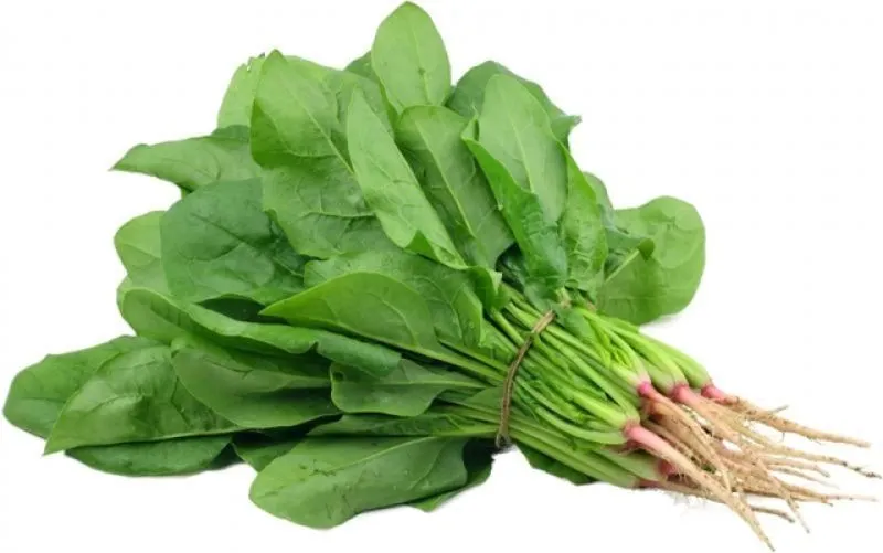 các loại thực phẩm giàu kẽm