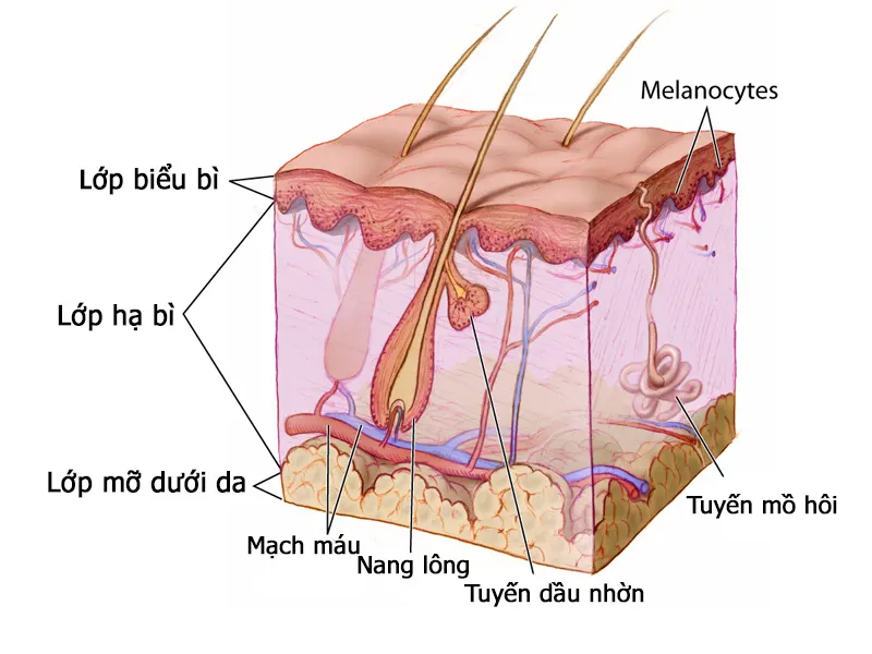 để có làn da đẹp
