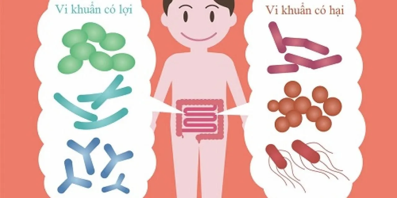 loạn khuẩn đường ruột là gì