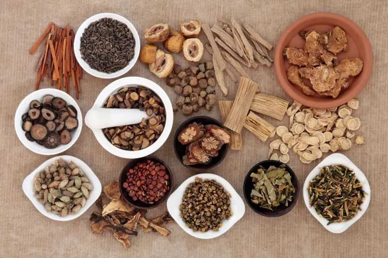 Ngày càng có nhiều người dùng thảo dược bổ gan, thải độc, tăng cường chức năng gan
