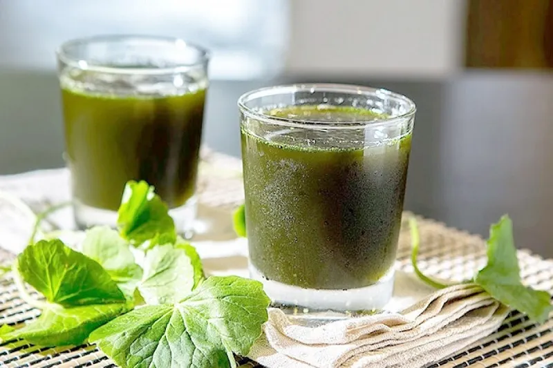 nhiệt miệng nên ăn gì và kiêng gì