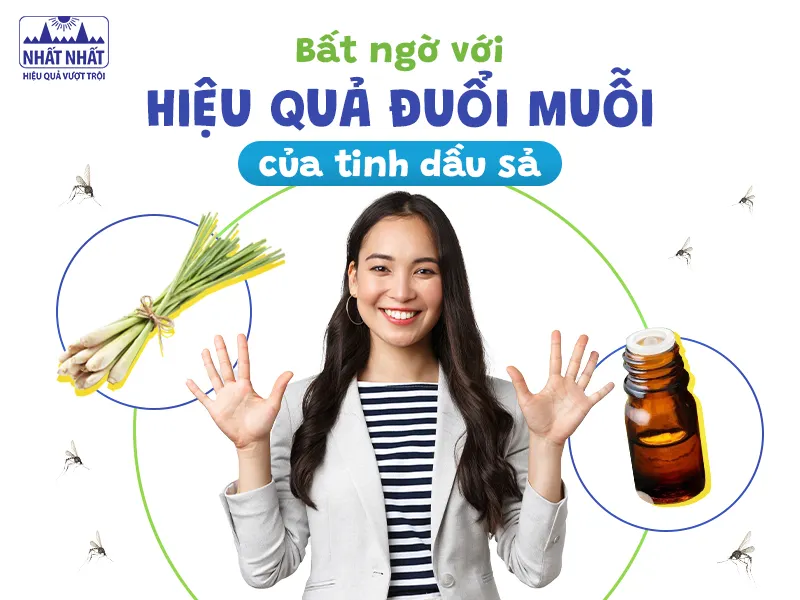 Tìm hiểu về tinh dầu sả xua đuổi muỗi và côn trùng