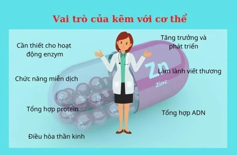 uống kẽm nhiều có tốt không