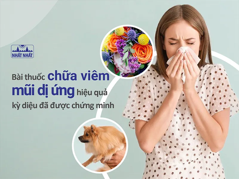 Chữa viêm mũi dị ứng